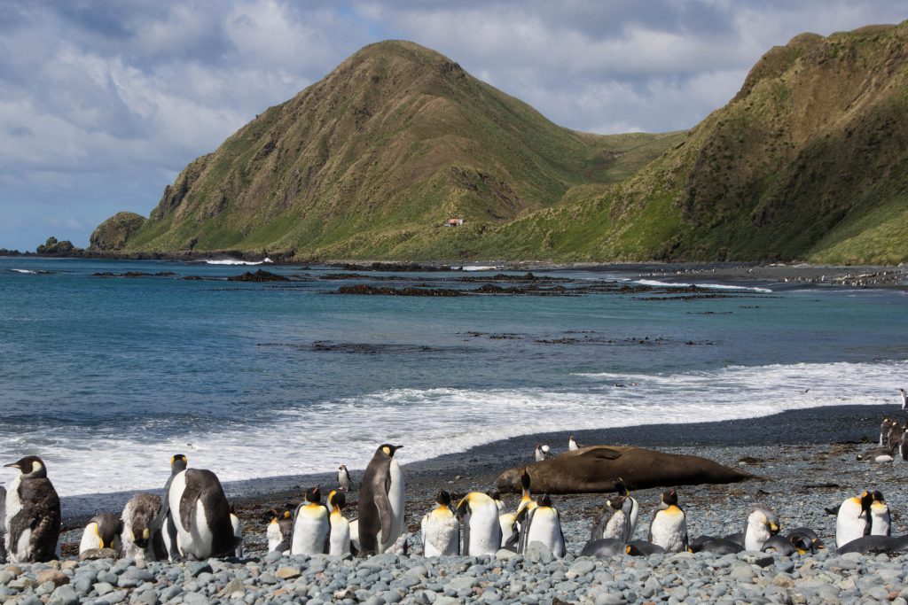 Macquarie Island Macquarie Island