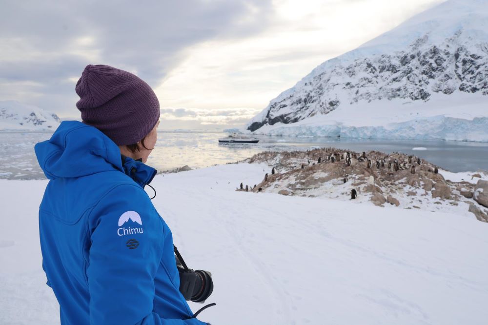 Antarctica visitor admiring penguins Antarctica visitor admiring penguins