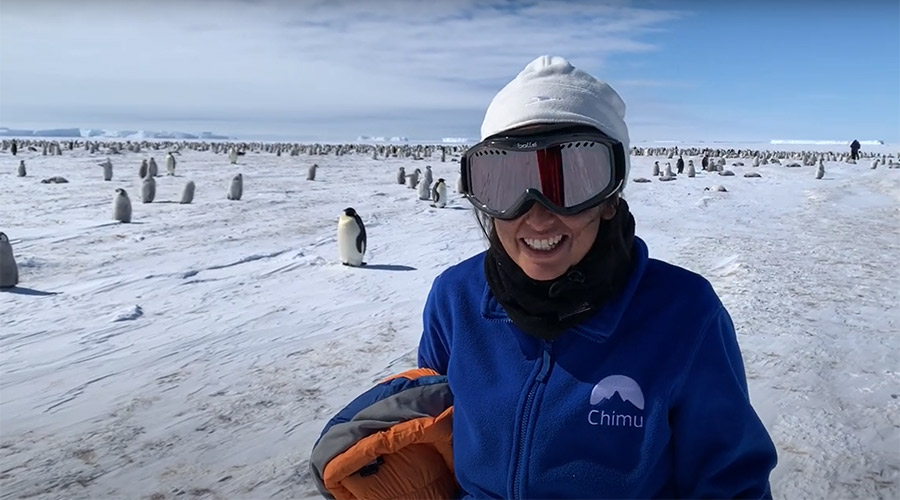 emperorPenguins emperorPenguins