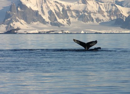 Describing Antarctica Describing Antarctica