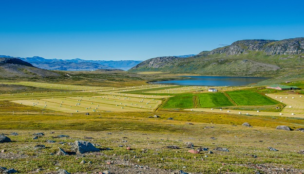 The land of a small village farm, Greenland. The land of a small village farm, Greenland.