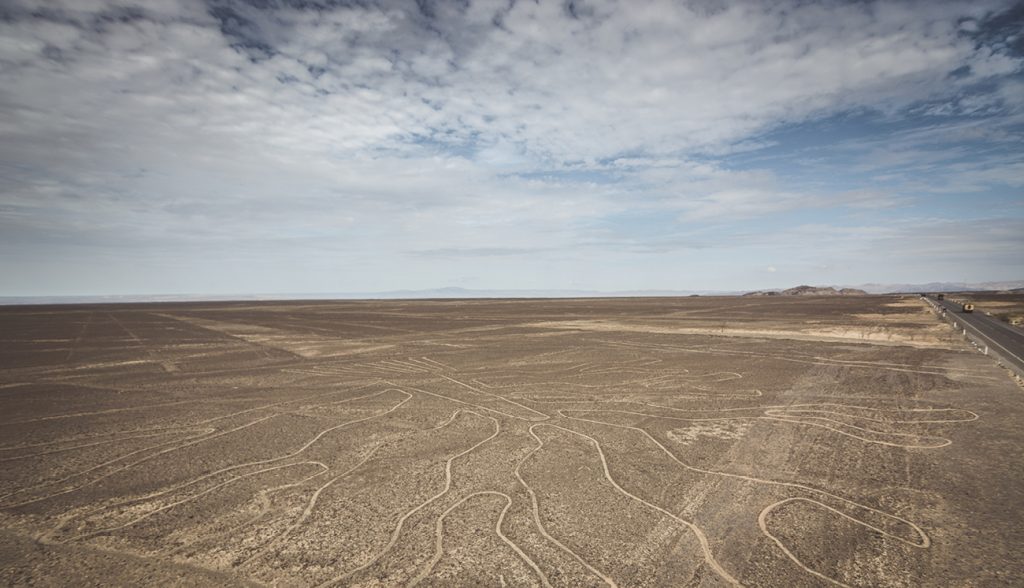Tree (Arbol) lines in Nazca desert, Peru Tree (Arbol) lines in Nazca desert, Peru