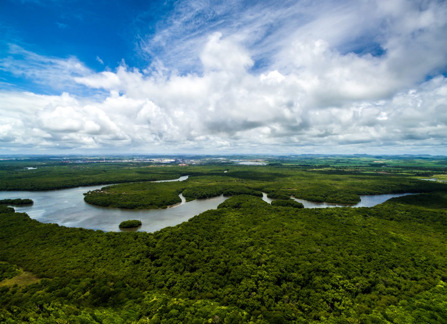 Amazon rainforest in Brazil, South America Amazon rainforest in Brazil, South America