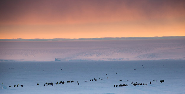 East Antarctica East Antarctica