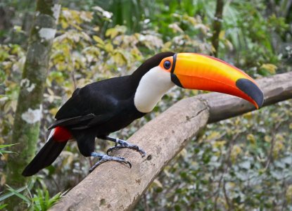 Argentina’s Sustainable Tourism Argentina’s Sustainable Tourism