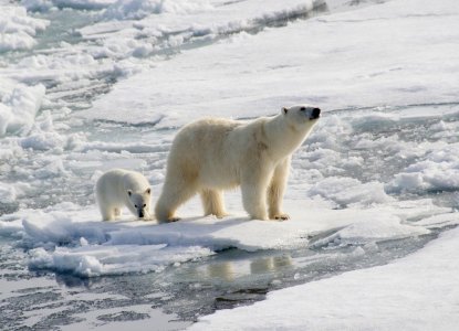 Best Things To Do in South and Central America in September Best Things To Do in South and Central America in September