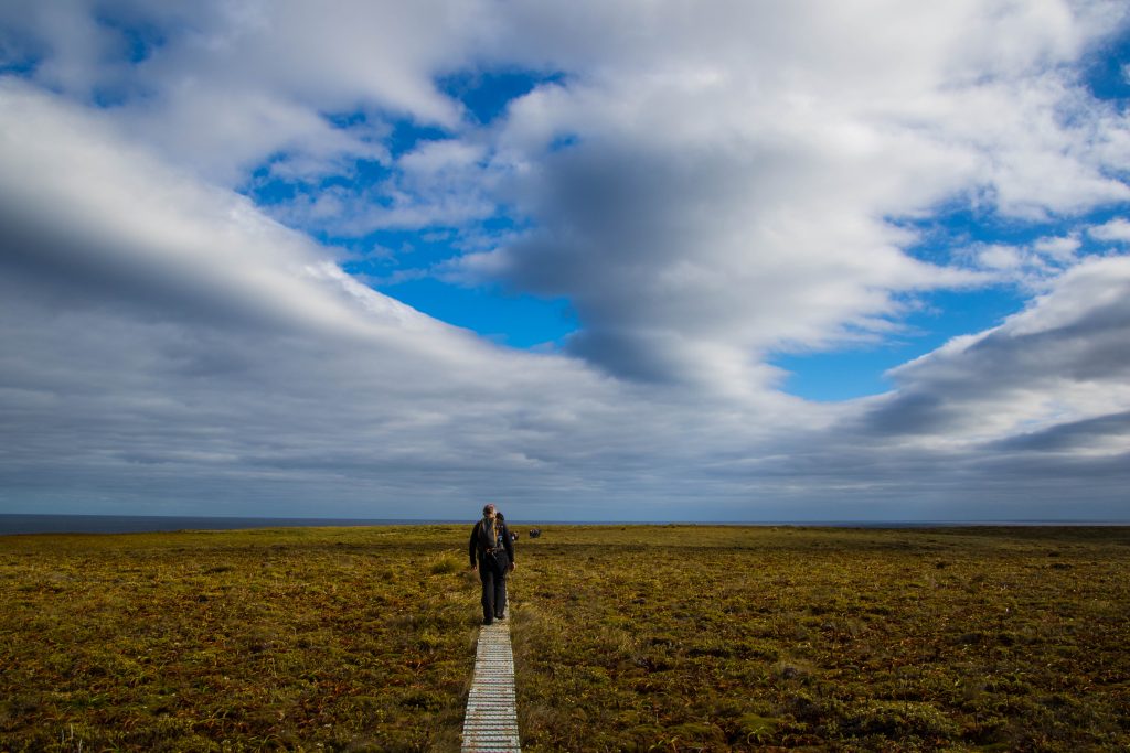 Auckland islands Auckland islands