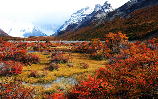 Autumn landscape in Patagonia Autumn landscape in Patagonia