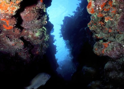 The Best Snorkel Spots in Honduras The Best Snorkel Spots in Honduras