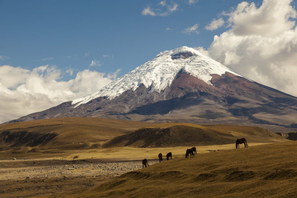 The Cotopaxi Volcano The Cotopaxi Volcano