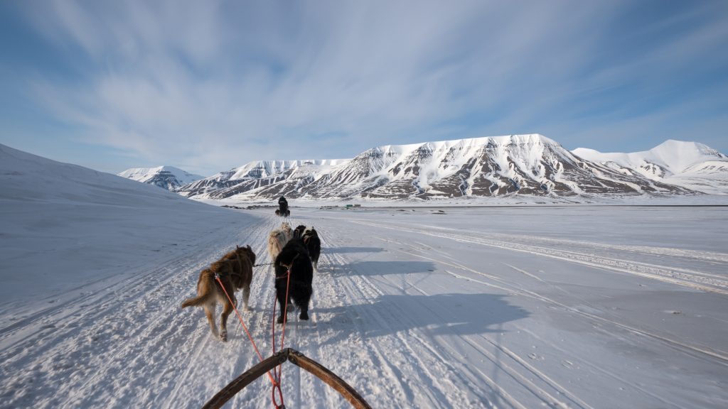 Dog sleds are a traditional form of transportation in Svalbard Dog sleds are a traditional form of transportation in Svalbard