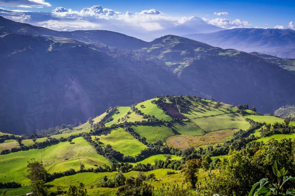 Green Andean landscape in afternoon light near El Altar volcano in Riobamba region, Ecuador Green Andean landscape in afternoon light near El Altar volcano in Riobamba region, Ecuador