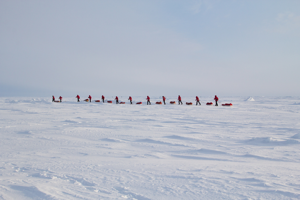 Skiers go to the North pole from Russian Barmeo Ice Camp Skiers go to the North pole from Russian Barmeo Ice Camp