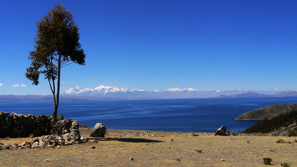 view over sea from rock plateau with tree view over sea from rock plateau with tree