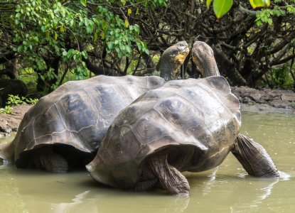 Tourism and Sustainability in Ecuador Tourism and Sustainability in Ecuador