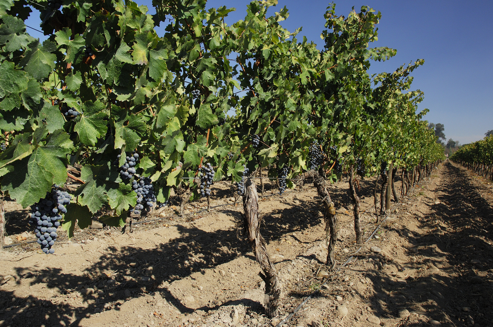 shutterstock_110422859 shutterstock_110422859