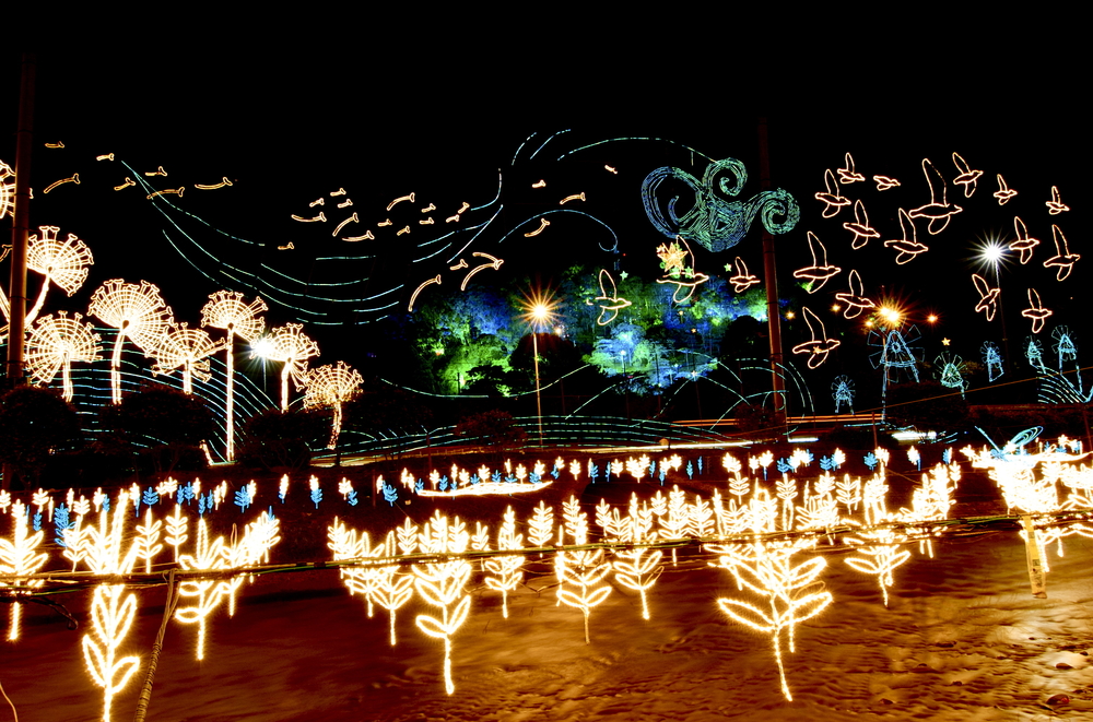 Christmas decorations in Medellin, Colombia. Christmas decorations in Medellin, Colombia.