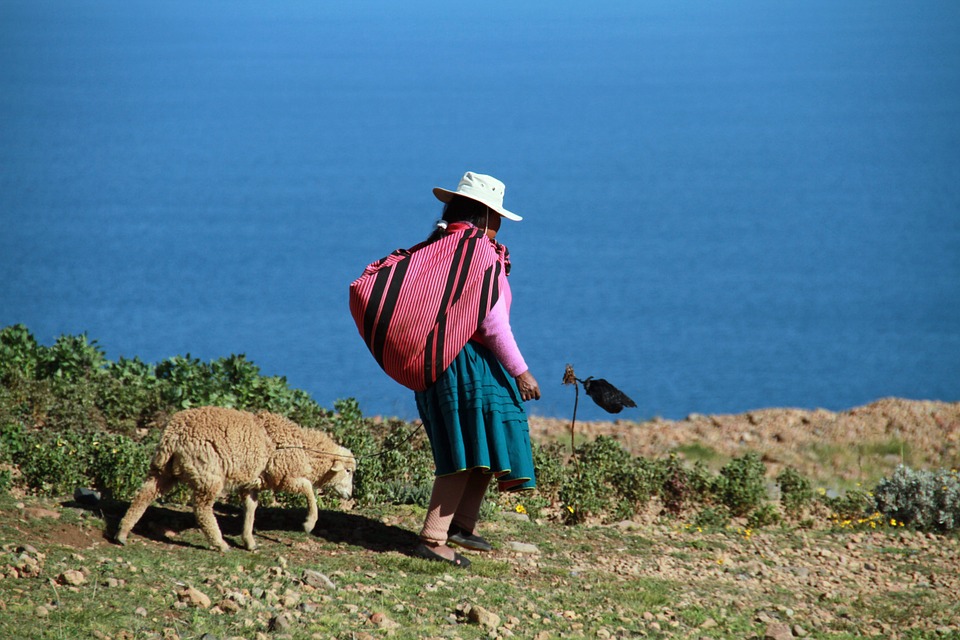 traditional peruvian woman walking with dog view over lake traditional peruvian woman walking with dog view over lake