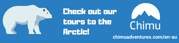 Polar-bear-chimu Polar-bear-chimu