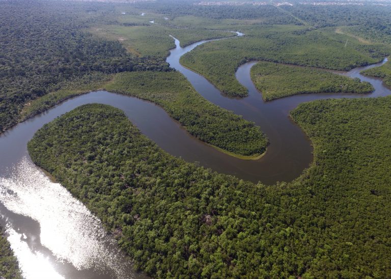 Top view of the Amazon river in Brazil with the rainforest Top view of the Amazon river in Brazil with the rainforest