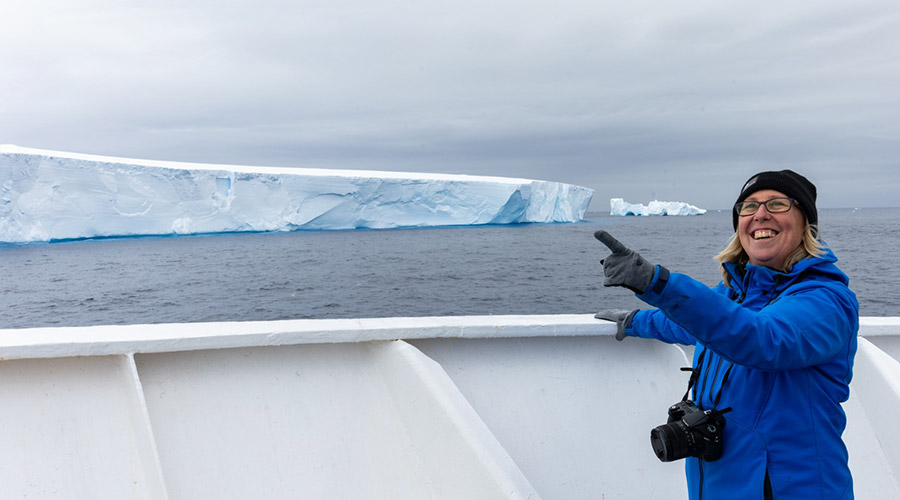 MegIceberg MegIceberg