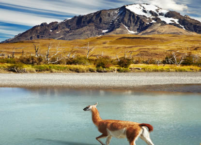 Best Things to Do in the Valdes Peninsula Best Things to Do in the Valdes Peninsula