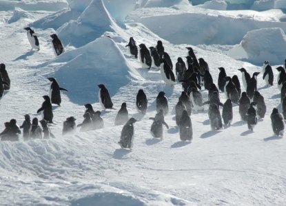 Geography of East and West Antarctica Geography of East and West Antarctica