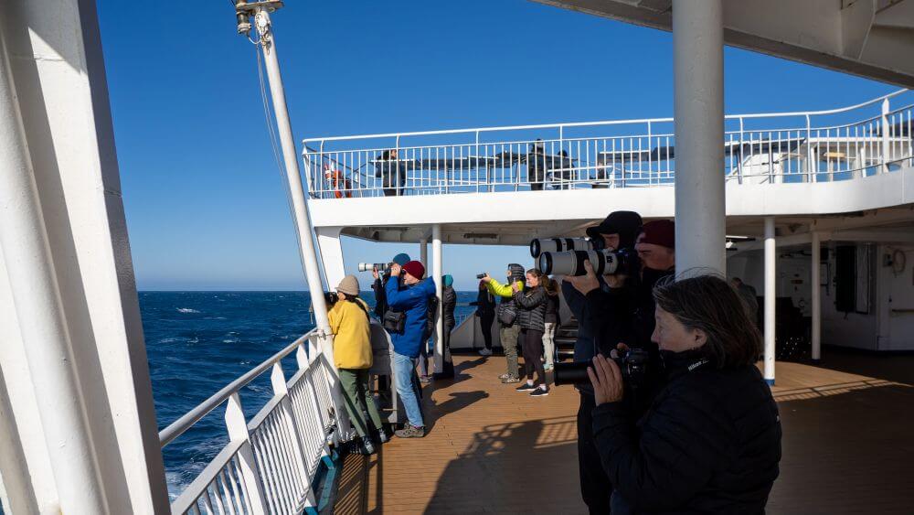 passengers bird watching on the Drake Passage