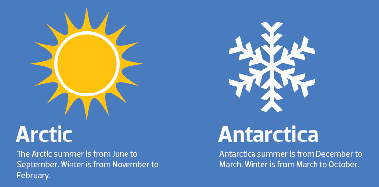 Artcic summer Artcic summer