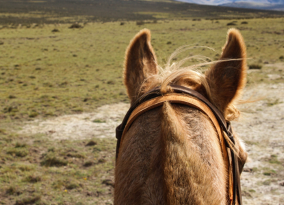 How to Dodge the Crowds in Patagonia How to Dodge the Crowds in Patagonia
