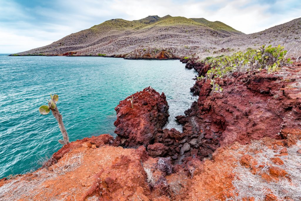 Red rock landscape of Santiago Island in the Galapagos Islands Red rock landscape of Santiago Island in the Galapagos Islands
