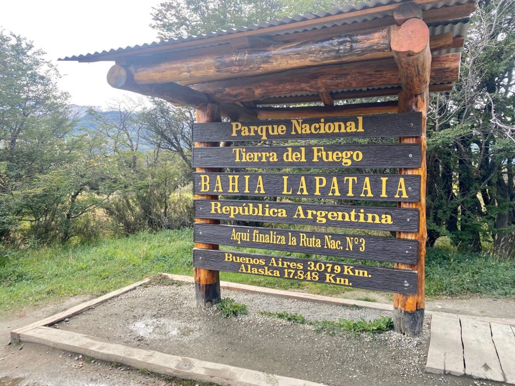 lapataia lapataia