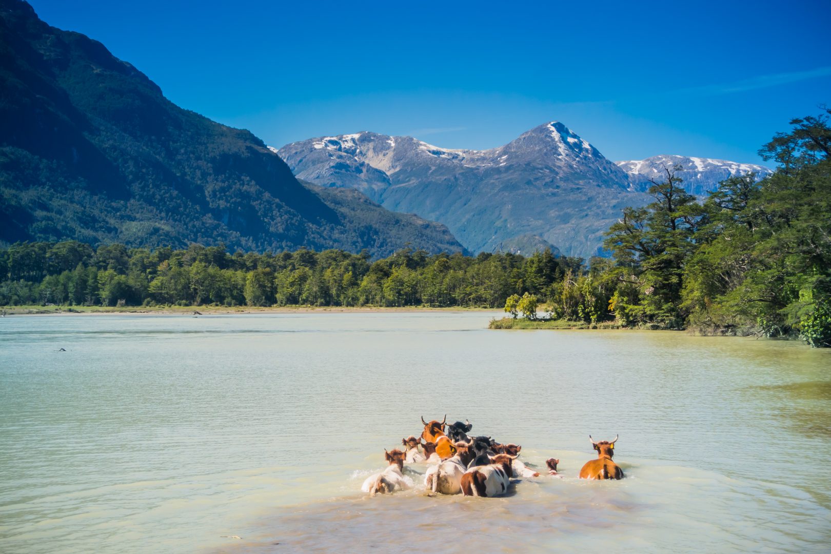 Baker River Baker River