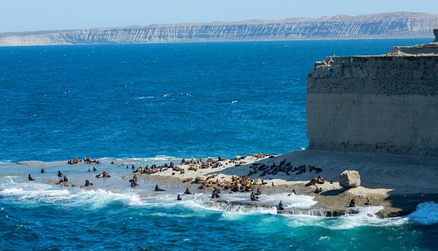 Rocky beach of peninsula of Valdes, Patagonia, Argentina. Rocky beach of peninsula of Valdes, Patagonia, Argentina.