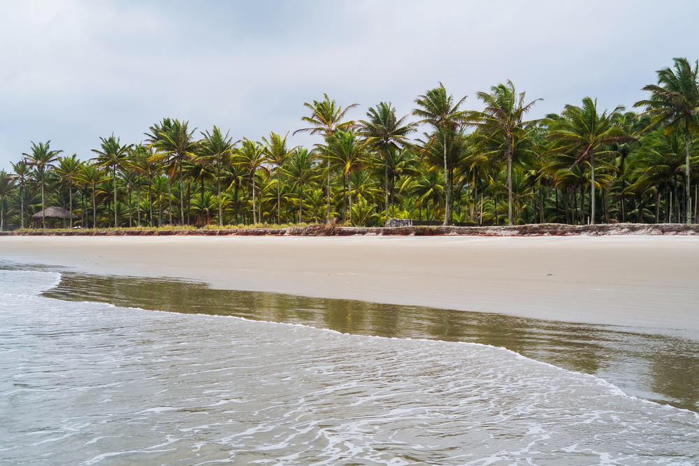 The beach of Mompiche in Ecuador. The beach of Mompiche in Ecuador.