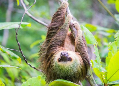 Panama City International Airport Guide Panama City International Airport Guide