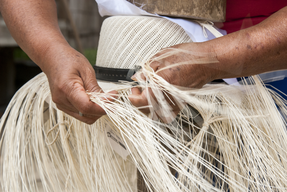 Creating a Panama hat of Toquilla palm. Creating a Panama hat of Toquilla palm.
