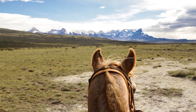 Horseback riding, Patagonia Horseback riding, Patagonia