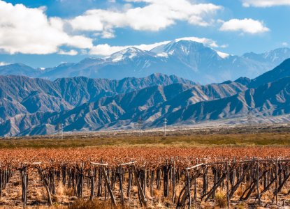 Things to do in the Mendoza Wine Region in Argentina Things to do in the Mendoza Wine Region in Argentina