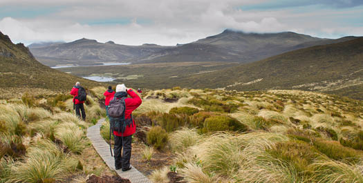 New Zealand’s Sub Antarctic Islands - Days 22-24