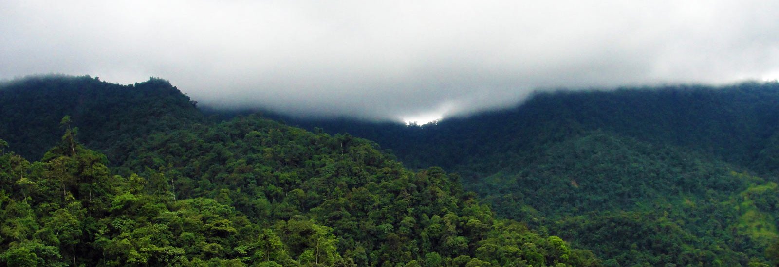 Bellavista Cloud Forest Lodge Extension