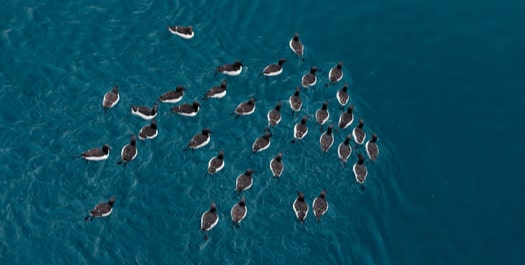 At sea, en route to Nuuk