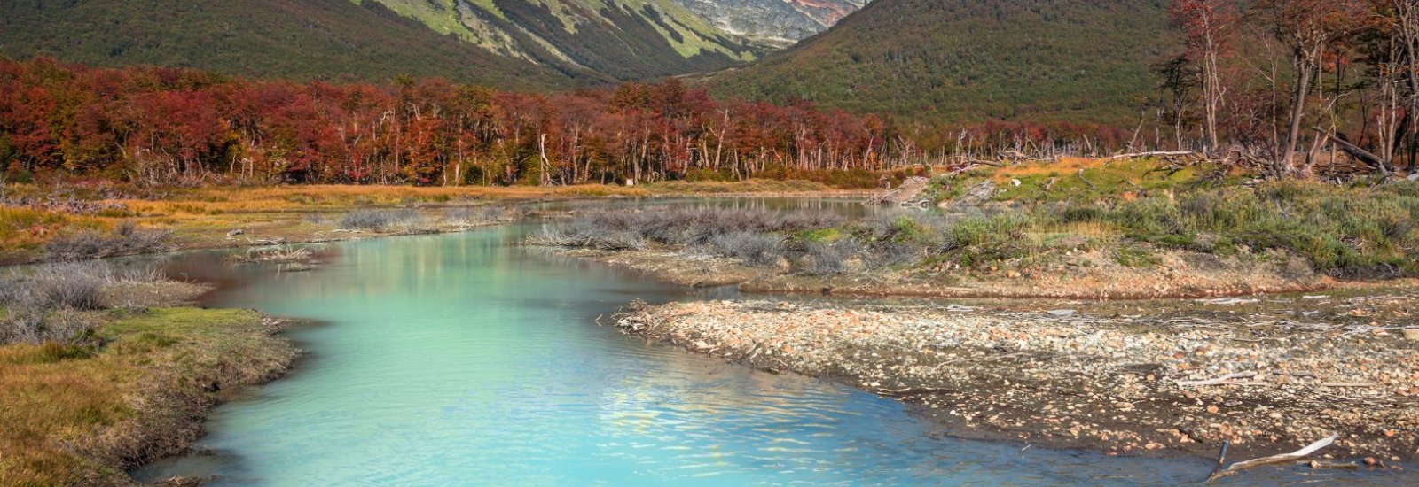 shutterstock_630045095-1618x1080