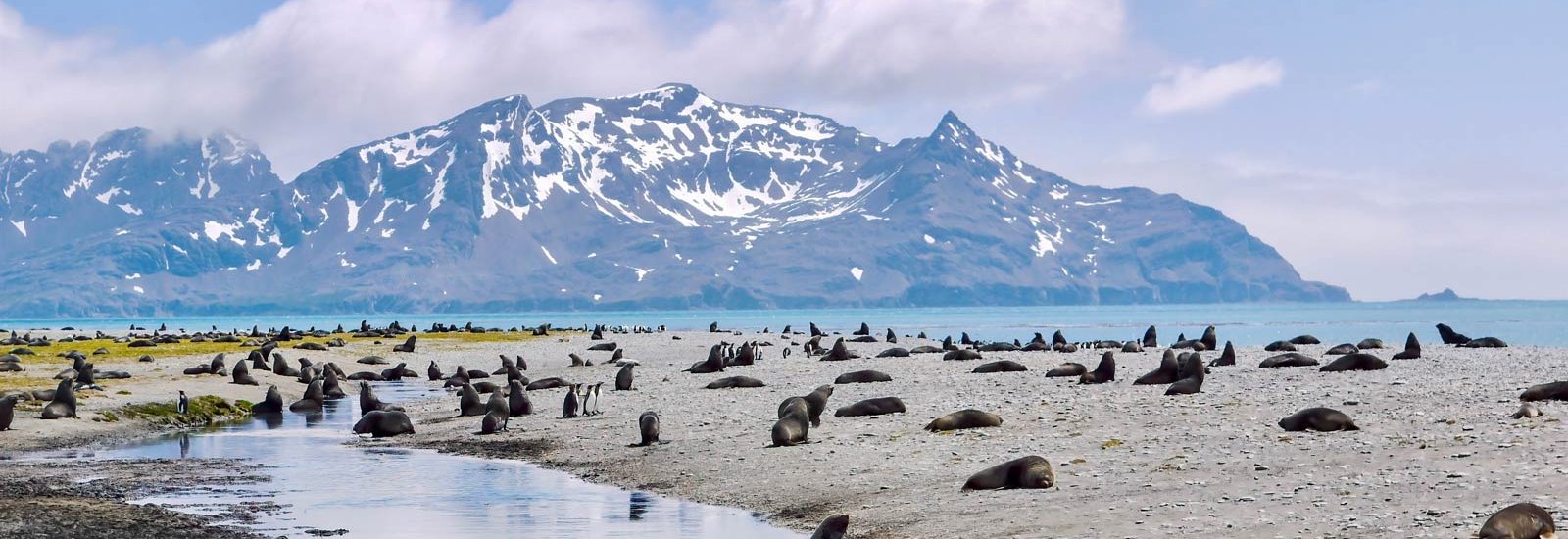 Great Austral Loop 25/26 | L'Austral