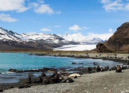 South Georgia Coastline) 