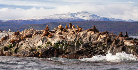 Disembark in Ushuaia, Argentina