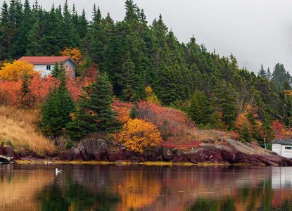 Autumn colours reflecting on Trinity Bay in Newfoundland and Labrador, Canada) 