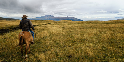 Horseback Riding & Cooking Classes