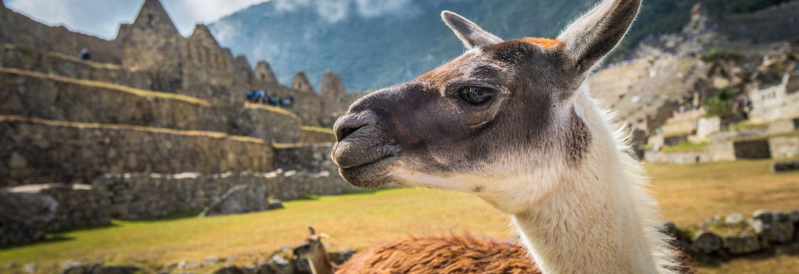 Signature South America - Lima to Rio