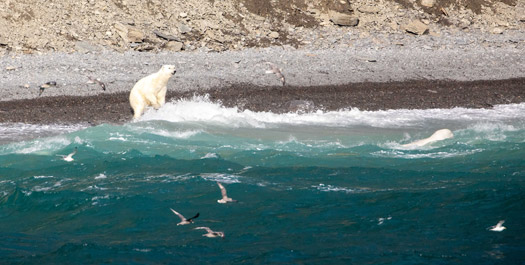 Queen Harbour, Nunavut